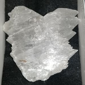 Fish Tail Angel Wing Selenite